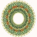 Measles virus image of measles virus