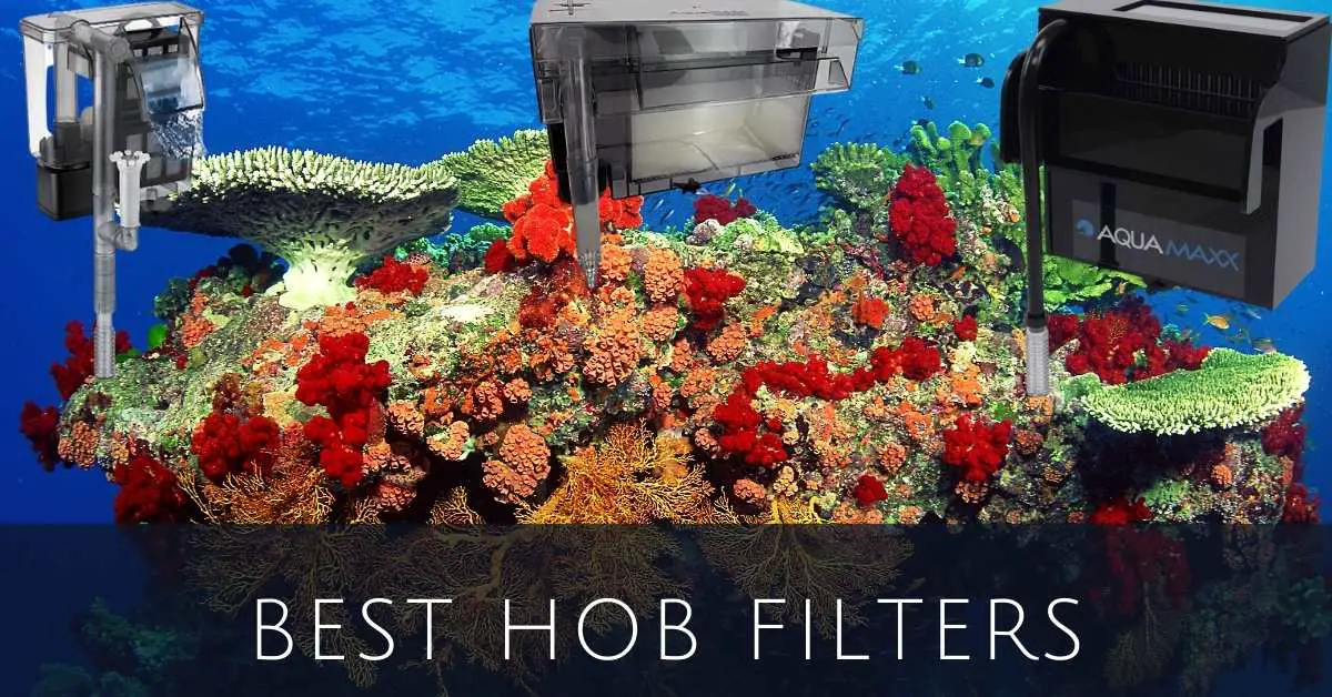 image of Best HOB Filters