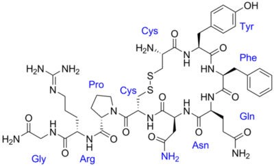 image of Chemical structure of ADH with Labeled Amino Acids