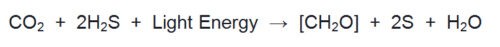 image of Equation of Anoxygenic Photosynthesis