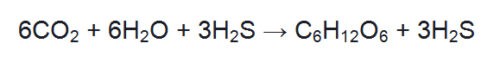 image of Equation of Chemosynthesis