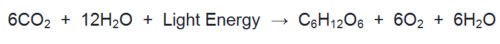 image of Equation of Oxygenic Photosynthesis