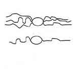 Amphitricous image of Amphitricous