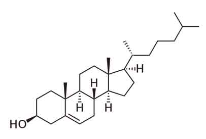 image of Cholesterol