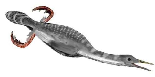 image of Hesperornis