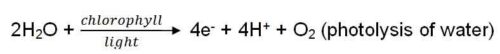 image of Photolysis of water