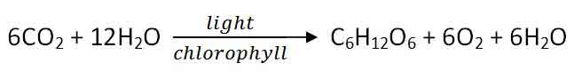 image of Photosynthesis equation