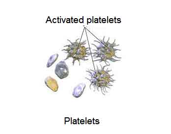 image of Platelets
