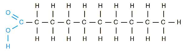 image of Saturated Fatty Acid