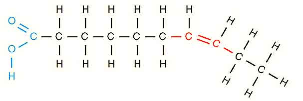 image of Unsaturated Fatty Acid