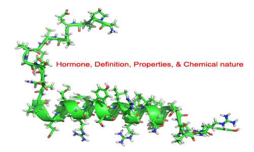 Image of Hormone