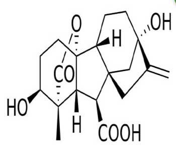 Gibberellin