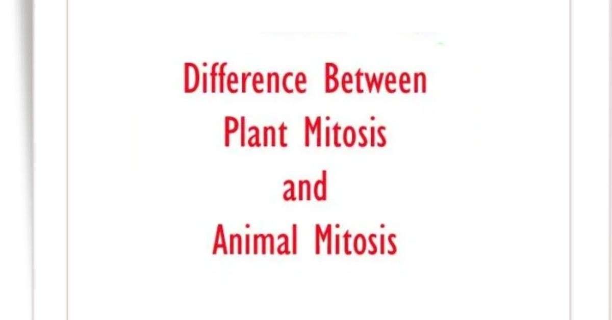 Difference Between Plant Mitosis and Animal Mitosis - Biology Educare