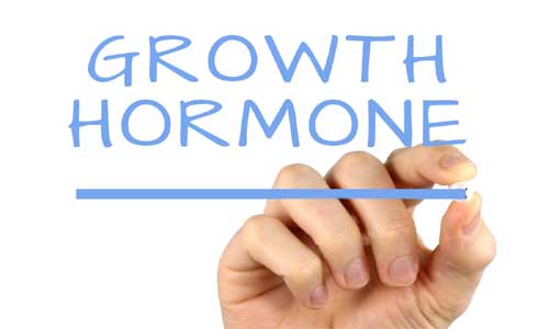 image of Growth hormone