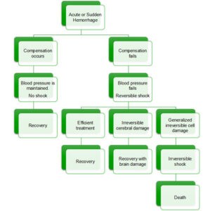 image of Outcome of sudden hemorrhage