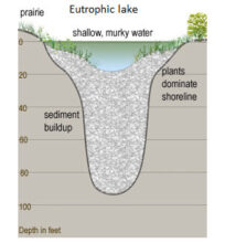 Lake: Definition, Characteristics and Classification | Biology EduCare