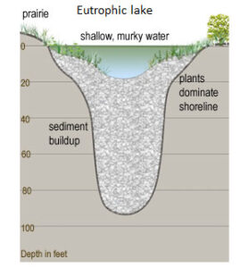 image of Eutrophic lake