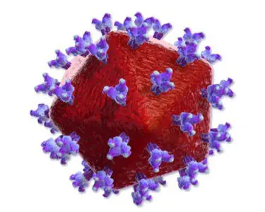 Image of Human Immunodeficiency Virus (HIV)