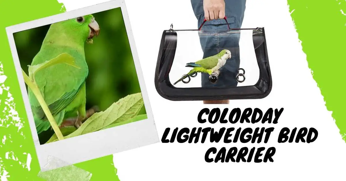 image of Colorday Lightweight Bird Carrier