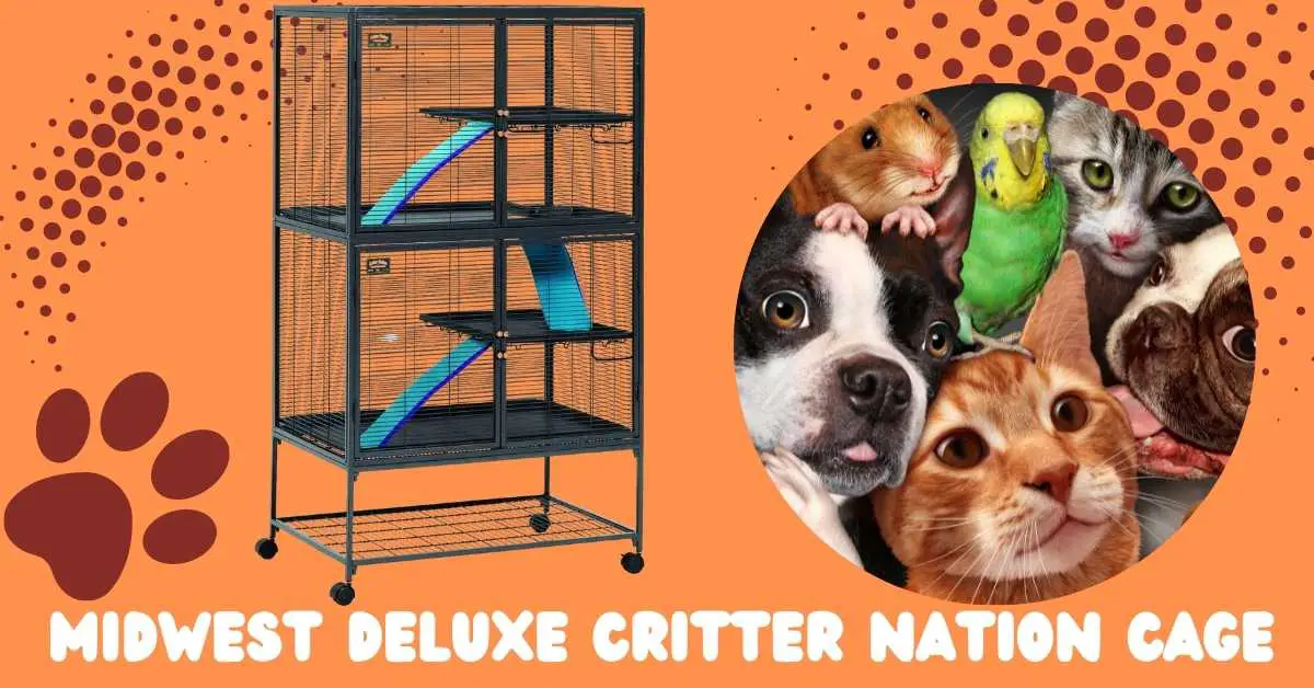 image of Midwest deluxe critter nation cage