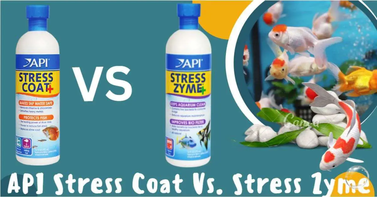 Image of API stress coat Vs. Stress Zyme