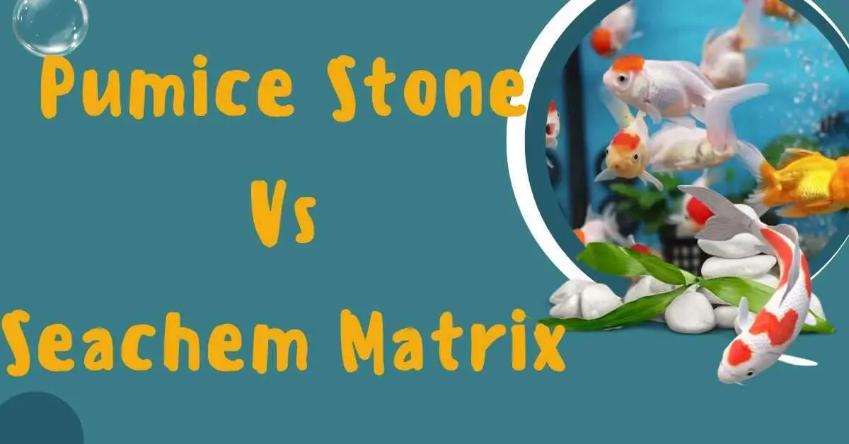 image of Pumice Stone Vs Seachem Matrix