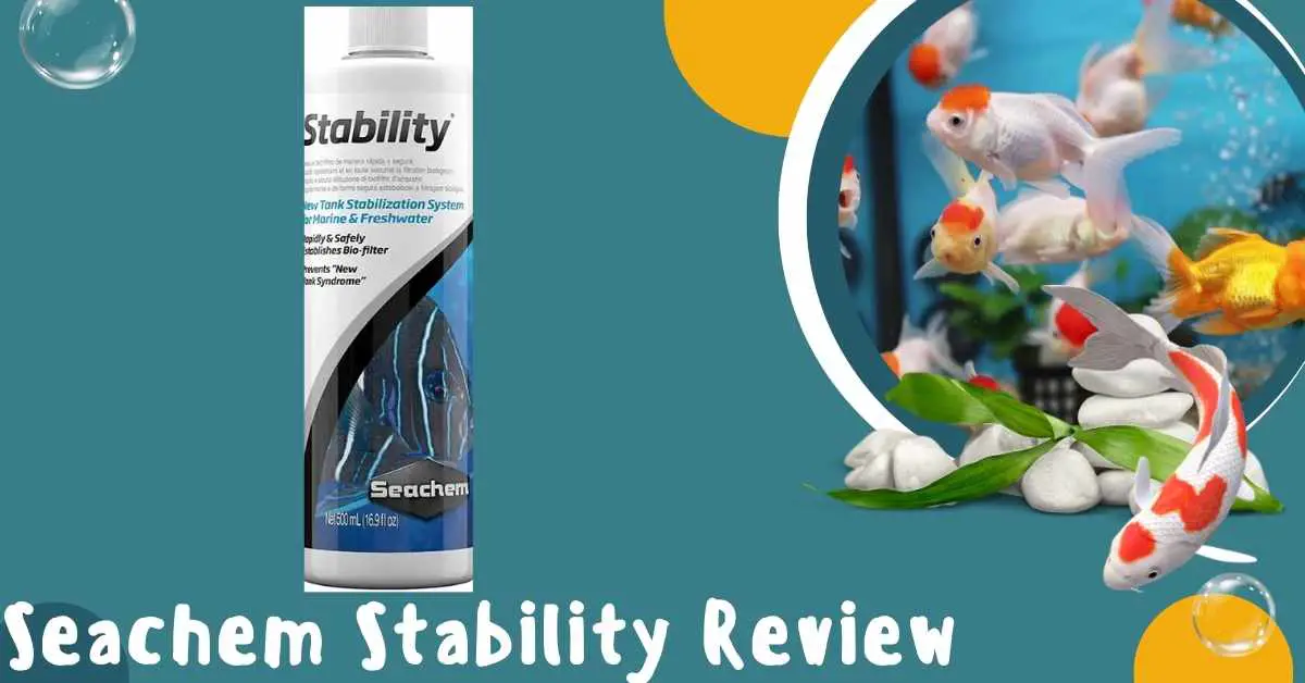 image of Seachem Stability Review