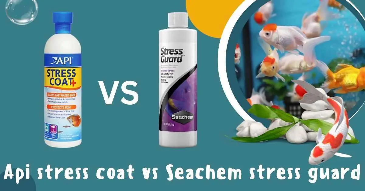 image of api stress coat vs seachem stress guard
