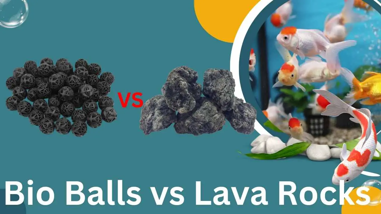 Image of Bio Balls Vs Lava Rocks