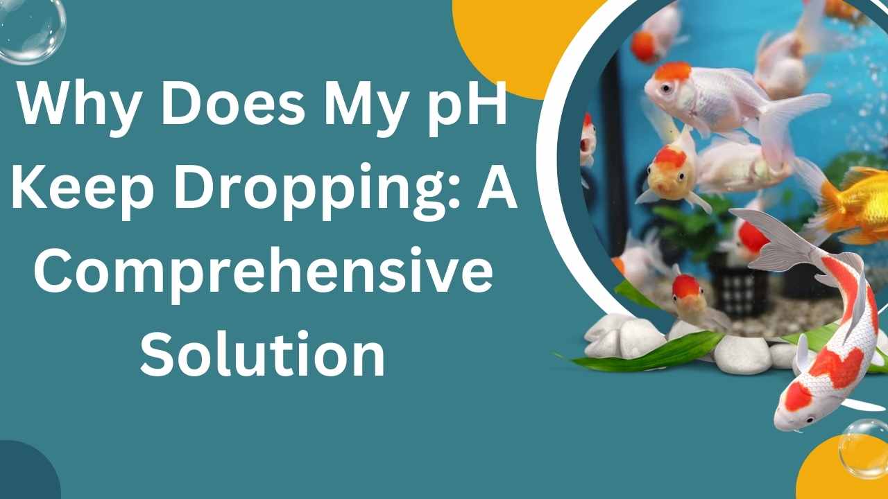 why-does-my-ph-keep-dropping-a-comprehensive-solution