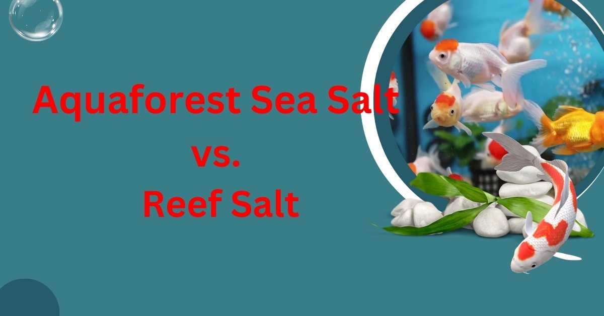 Image of Aquaforest Sea Salt vs. Reef Salt