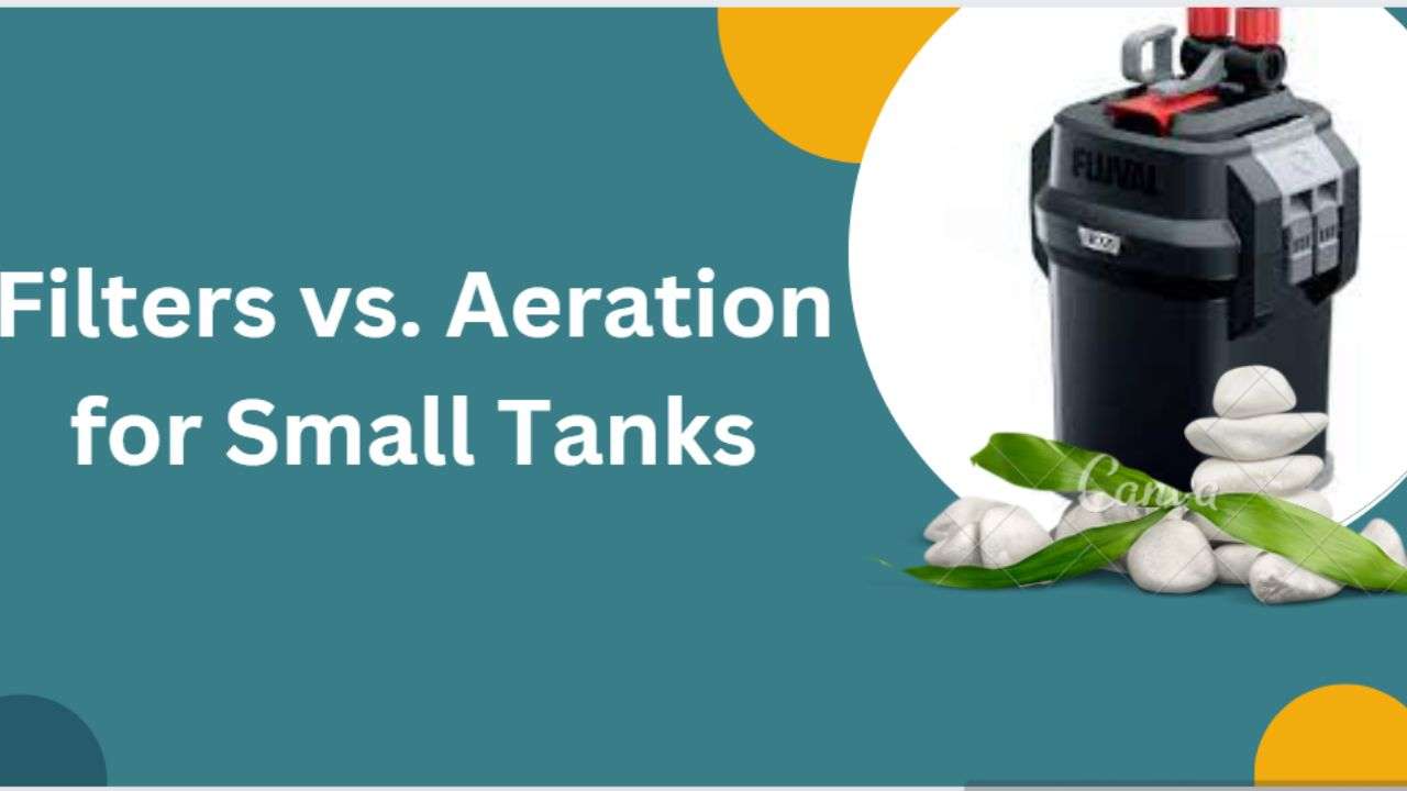 Image of Filter Vs Aeration for small tanks
