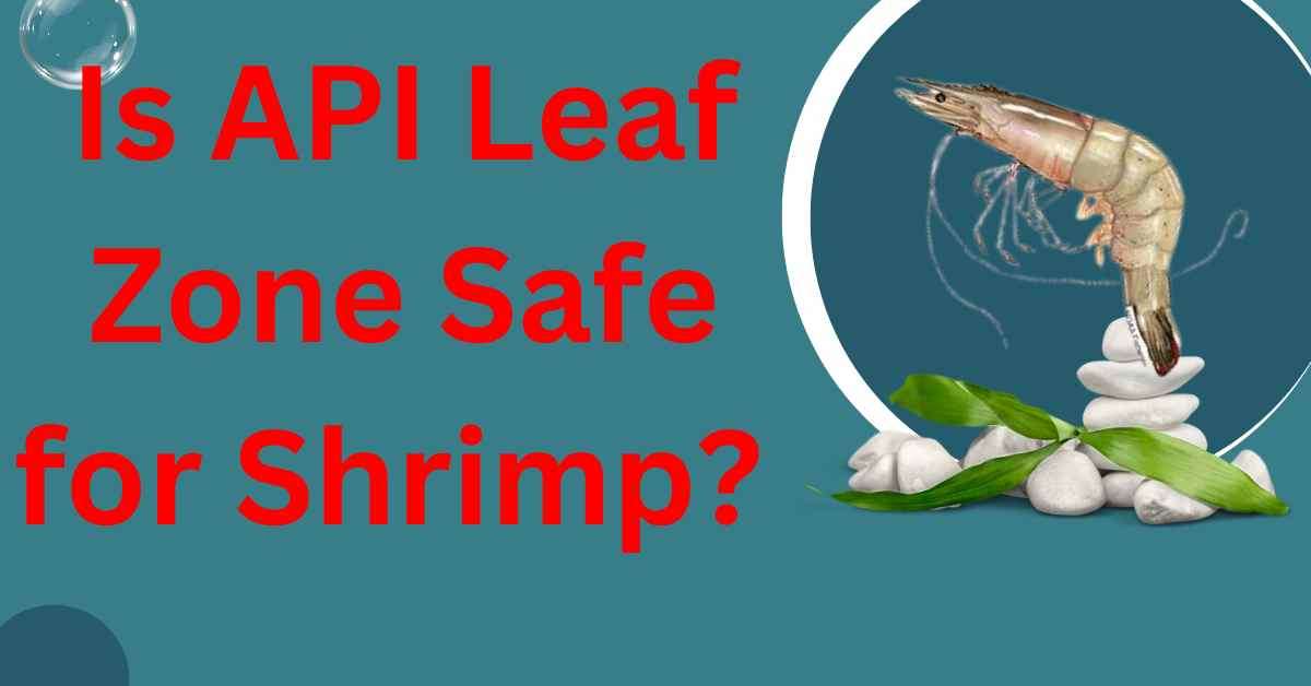 Image of Is API Leaf Zone Safe for Shrimp