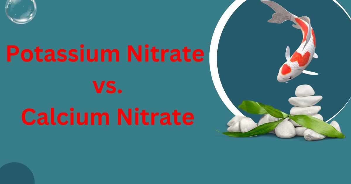 Image of Potassium Nitrate vs. Calcium Nitrate
