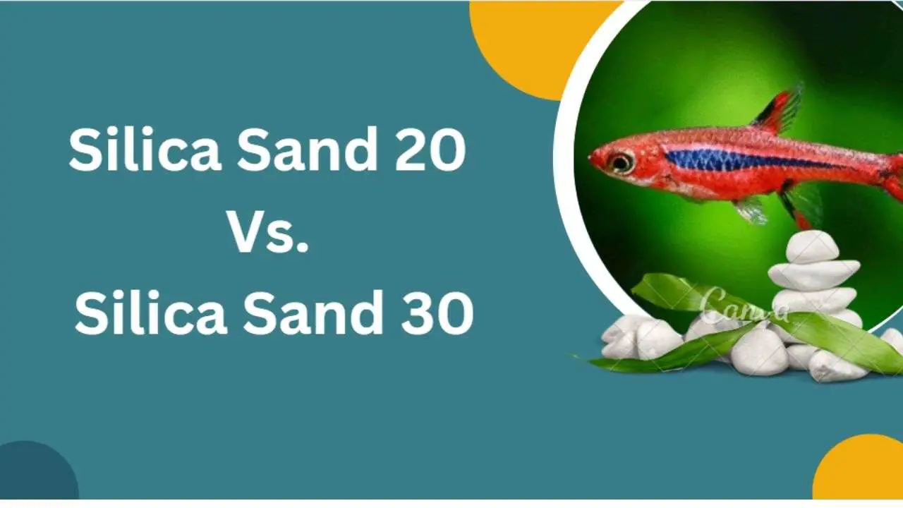 Image of Sand 20 Vs. Silica Sand 30
