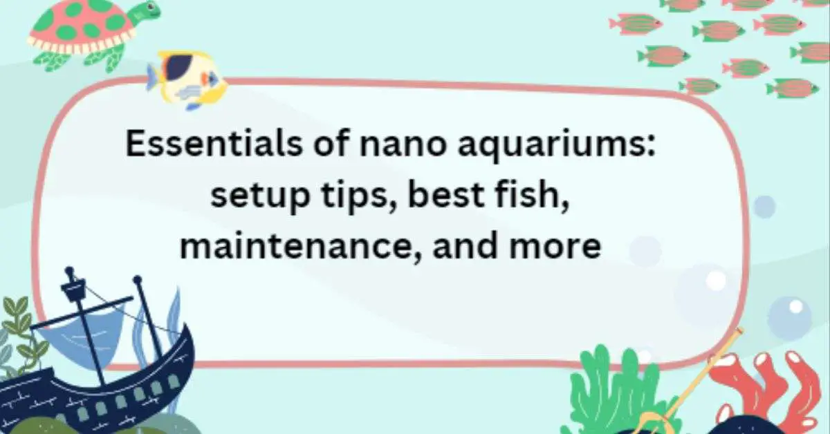 Image of Nano Aquarium