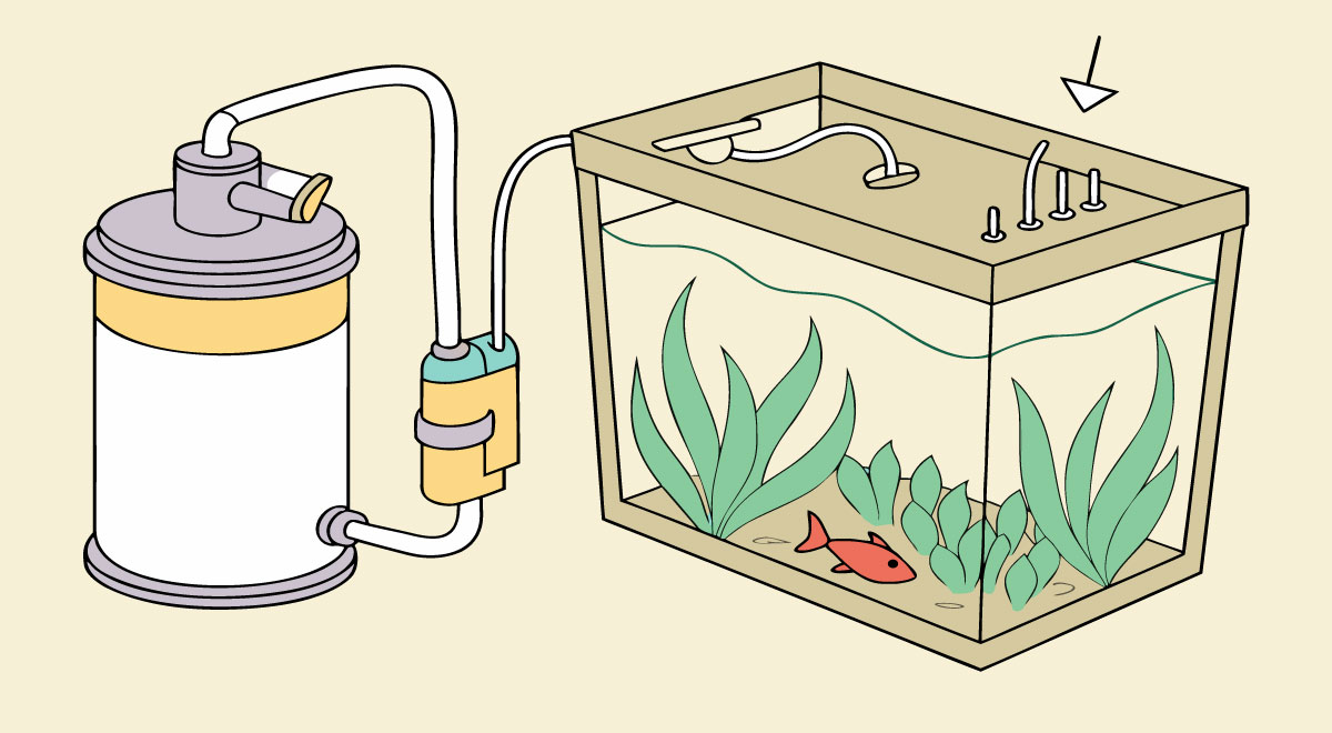 DIY Aquarium CO₂ Injection System Without Regulator
