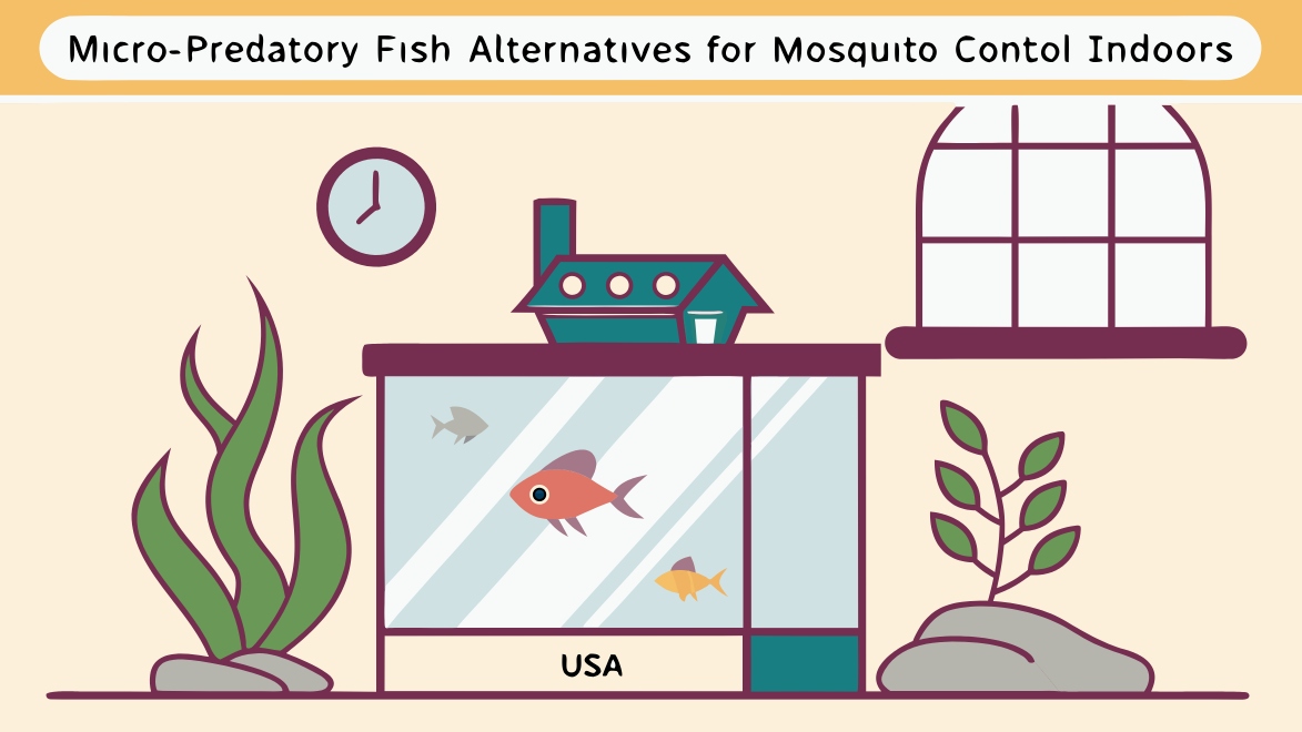 Micro-Predatory Fish Alternatives for Mosquito Control Indoors (USA Guide)