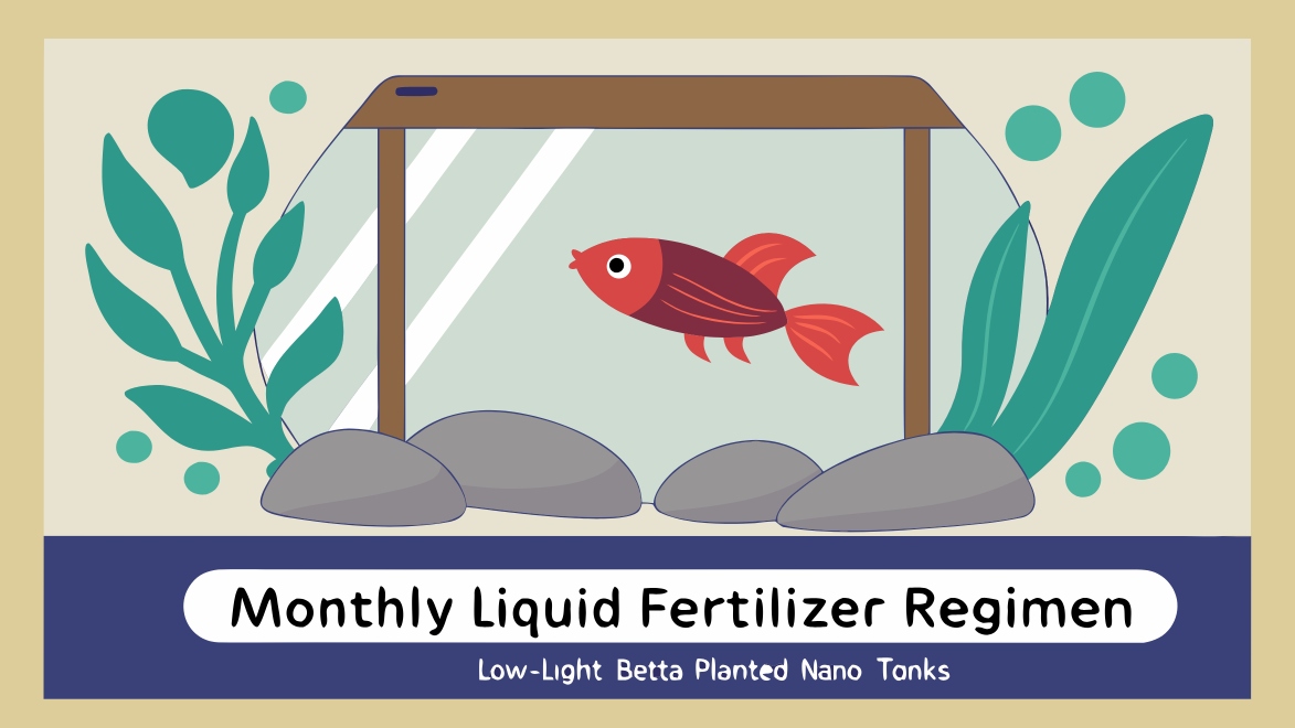 Monthly Liquid Fertilizer Regimen for Low-Light Betta Planted Nano Tanks
