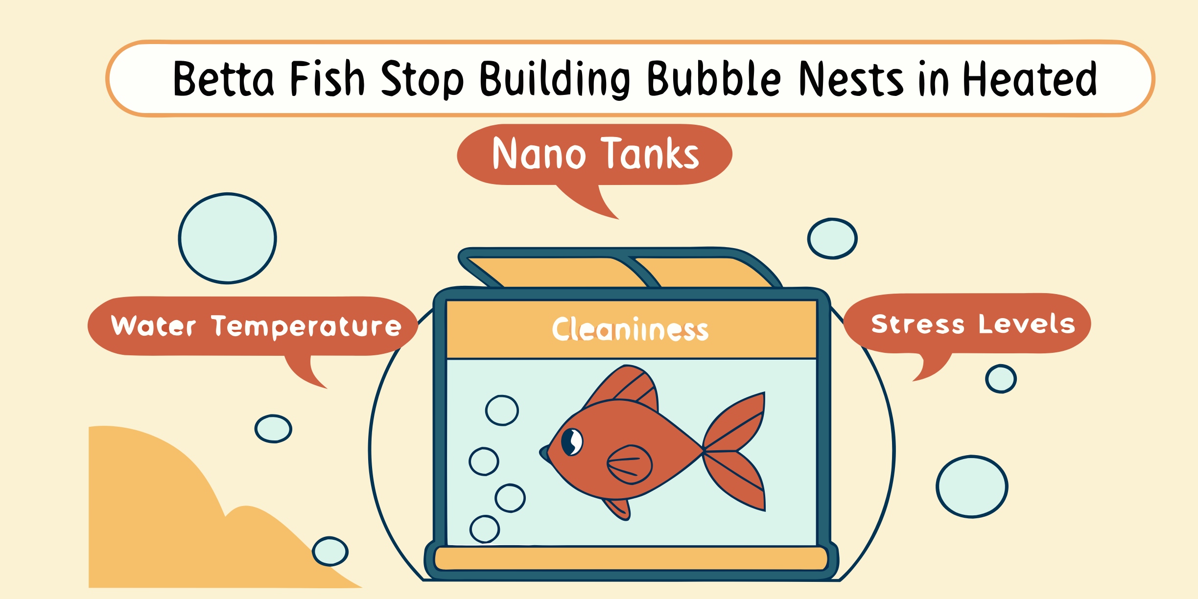 Why Betta Fish Stop Building Bubble Nests in Heated Nano Tanks